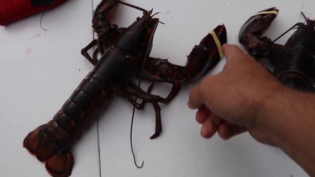 How to Boil Crawfish and Lobster - Cajun Style! смотреть онлайн