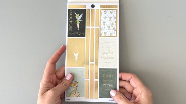 NEW! Happy Planner Tinkerbell Large & Classic Sticker Book Flip Through & More! Spring 2023 Release смотреть онлайн