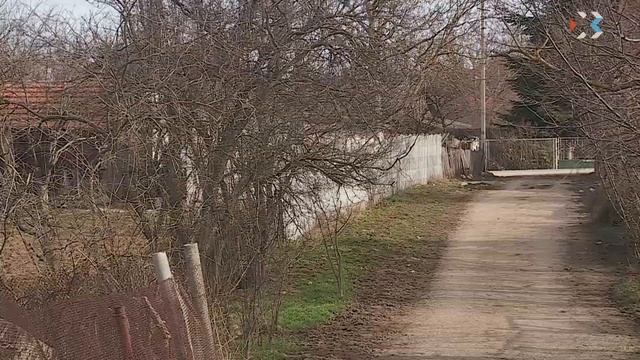 Теперь получить выписку из похозяйственной книги можно в местной администрации муниципалитета смотреть онлайн