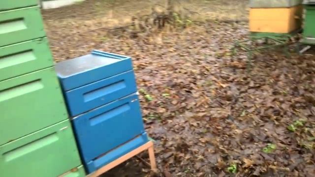 Зимовка пчел, зима 2015 - 2016 г. 21 декабря - 1