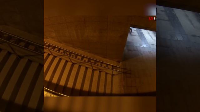 Идеальный костюм для вашего пса если вы живёте в Австралии смотреть онлайн