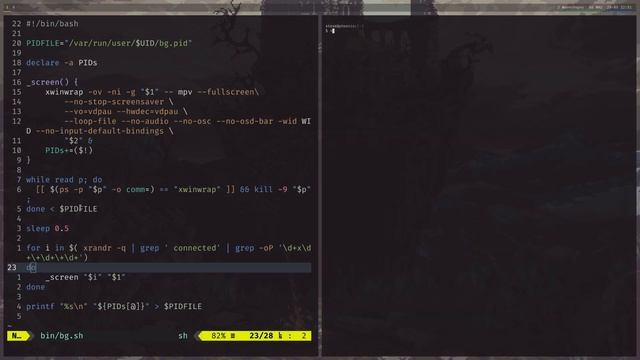 How to get an animated background on linux like mine and understanding PID files. смотреть онлайн