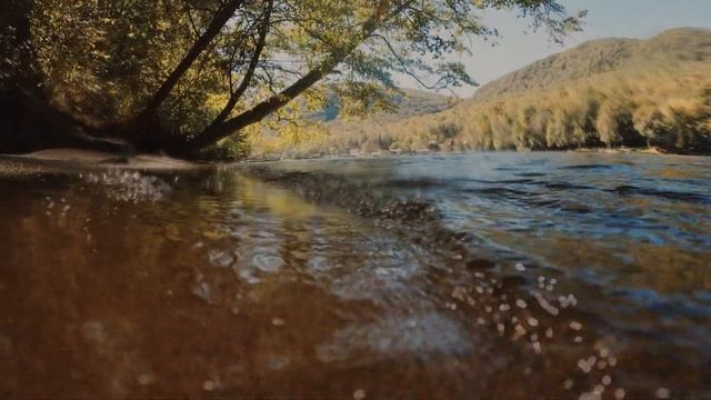 Relaxing Sleep Music • Deep Sleeping Music Relaxing Music