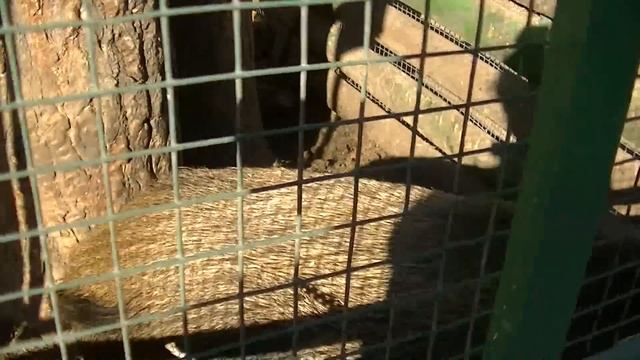 Велопоход 35 километров / Путешествие к озеру смотреть онлайн