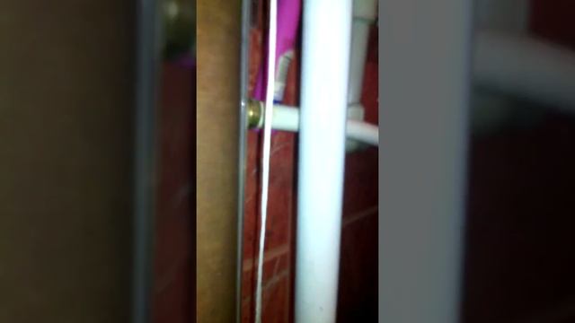 Монстры в питьевой воде смотреть онлайн