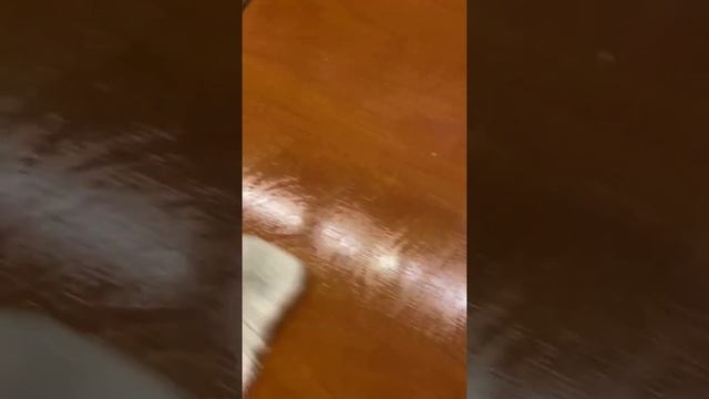 Как почистить без капли ? химии поверхности после жарки рыбы смотреть онлайн