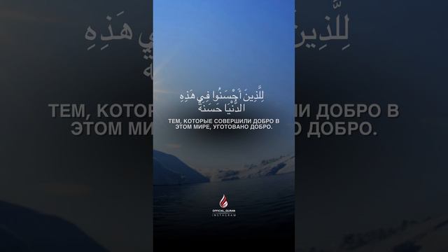 Сура: Аз Зумар красивое чтение #коран #quran смотреть онлайн