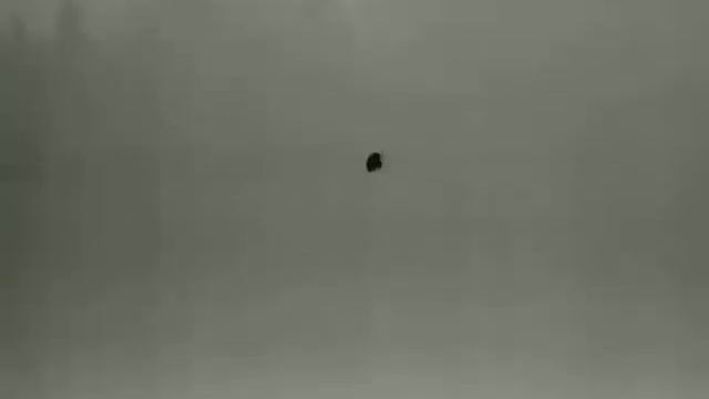 Xeye ll E3 Max V2.0 - sarny w-n смотреть онлайн