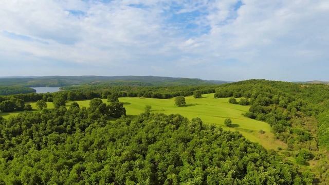 Красивая природа: леса, водопады, моря, океаны, реки, горы и животные