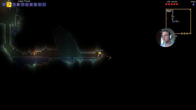 Terraria Yin i Yang #2 Celowe umieranie | 60 FPS | gameplay | PL | /w Dyzio смотреть онлайн