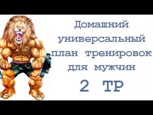 Домашний универсальный план тренировок для мужчин (2 тр)