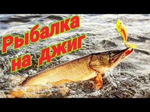 В поисках хищника- или как поймать сазана на джиг! Ловля рыбы. Рыбалка.