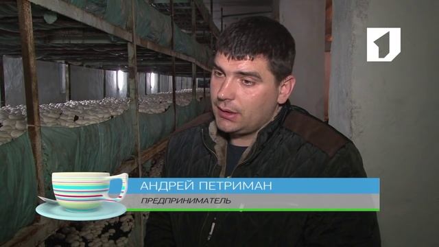 Утренний эфир / Производство шампиньонов в Приднестровье смотреть онлайн