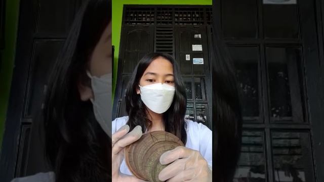 Ganoderma applanatum_Hisry Vanya_2117021101 смотреть онлайн