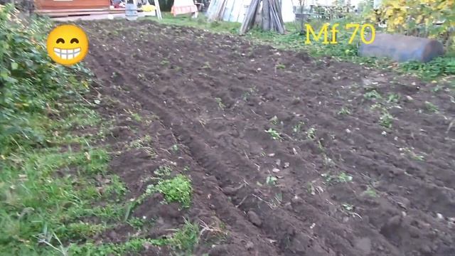 Oranie 100m2 November 2022 смотреть онлайн