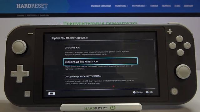 Сброс настроек клавиатуры на Nintendo Switch Lite смотреть онлайн