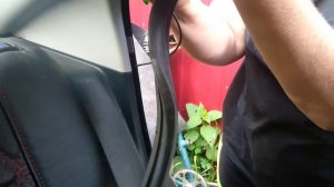 Замена старого парктроника на новый ?️ ничего сложного