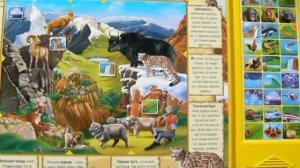 Мир вокруг нас изд. Азбукварик