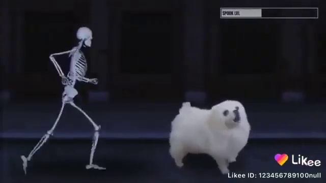 Пёс скелет смотреть онлайн