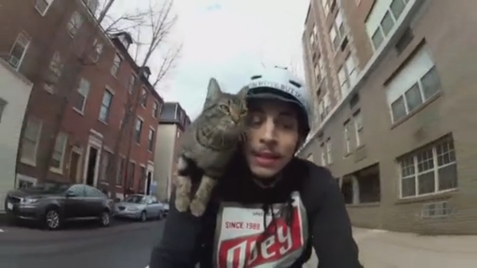 Подборка лучших приколов в Coub смотреть онлайн