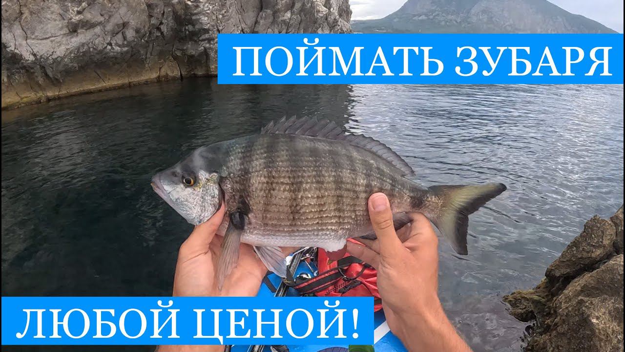 Как поймать ЗУБАРЯ?? Крым в августе! Снасти и наживка, Рыбалка и охота, Ночёвка и готовка на сапе! смотреть онлайн