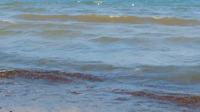Тунис. Пластиковый ? мусор в морской ? воде у берегов ? Северной Африки. Plastic trash. смотреть онлайн