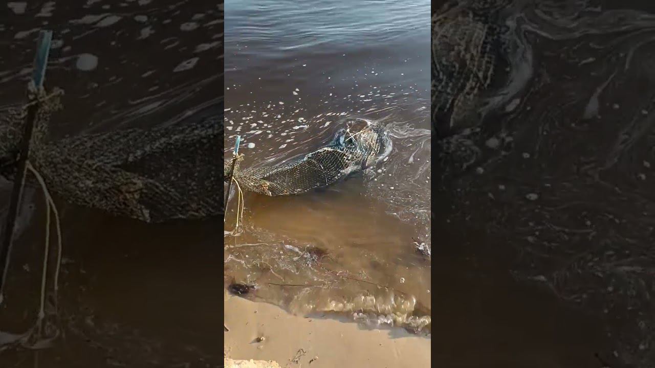 19 мая 2023 г. смотреть онлайн