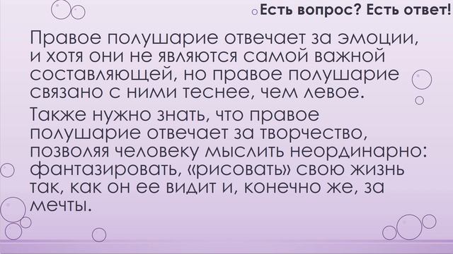 За что отвечает правая половина головного мозга? [191]