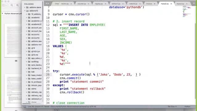 30 Python mysql module - query variables смотреть онлайн