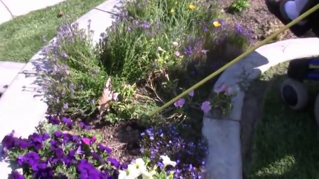 Wheelchair 60-Inch Weed Twister-Puller vs Weeds in Flowerbed смотреть онлайн