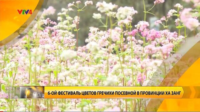 Как я изучаю Русский Язык? смотреть онлайн