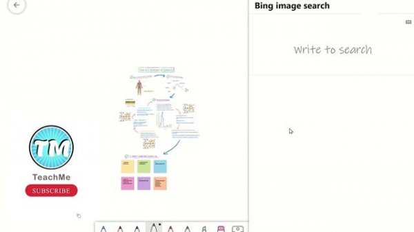 Microsoft Whiteboard Tutorial - Insert Images