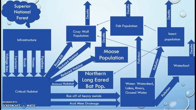 Systematic Mine Problem/MVB смотреть онлайн