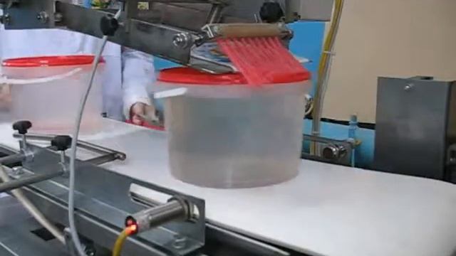 Установка нанесения этикеток на плоскость (этикетировщик) ИПКС-099П смотреть онлайн
