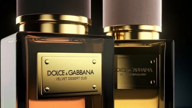 Dolce&Gabbana The Velvet Collection