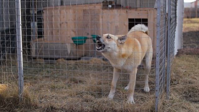 Жуткие паразиты, превращающие своих хозяев в зомби! смотреть онлайн