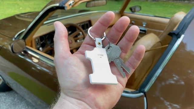 1979 Chevrolet Camaro Z/28 Walk Around смотреть онлайн