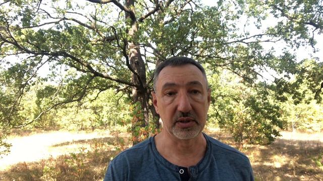 Кому везёт в жизни. смотреть онлайн