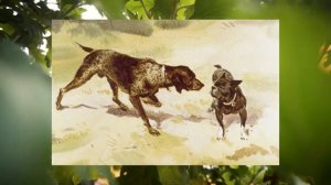 Л.Н.Толстой "Булька"