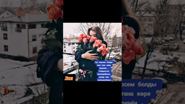 Котик (Қазақша версия) музыка 2021 смотреть онлайн