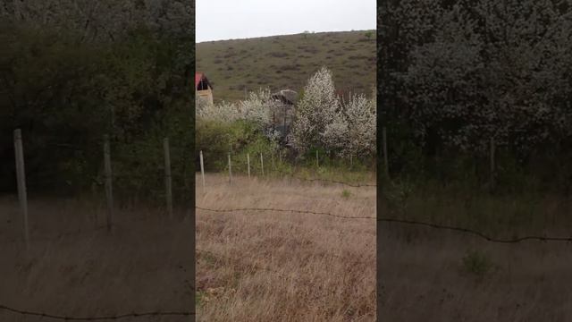 Лозовое -1 СТ "Медик +" смотреть онлайн