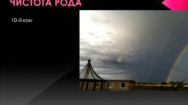 Анонс к медитации "Чистота рода" 4.09.2014. смотреть онлайн