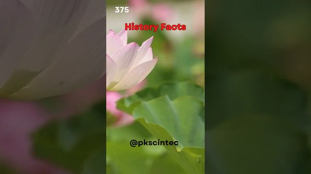 Did Cleopatra witness the moon landing Surprising history unfolds! #viral #facts #shortvideo смотреть онлайн