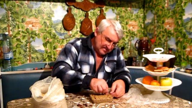 Как ПРОРАСТИТЬ косточки ФИНИКОВ в древесных опилках смотреть онлайн