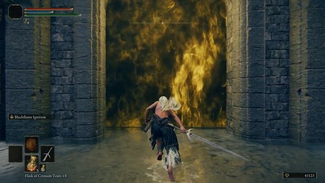 ELDEN RING BOSS FIGHT (with various weapons in Mod Pack) - LEONINE MISBEGOTTEN смотреть онлайн