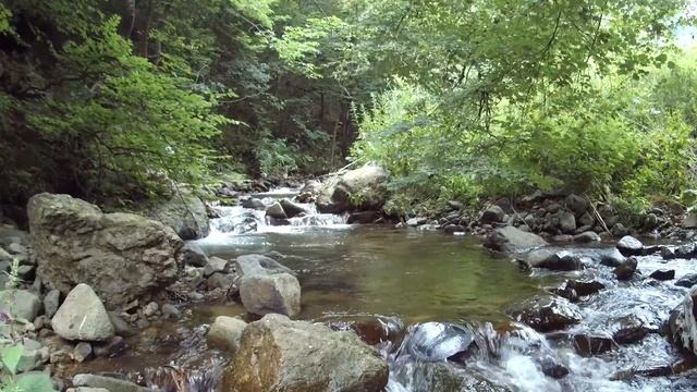 Природа Армении - речка Ванадзор. Get Vanadzor.