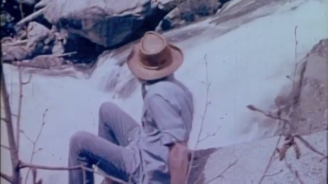 John Denver 