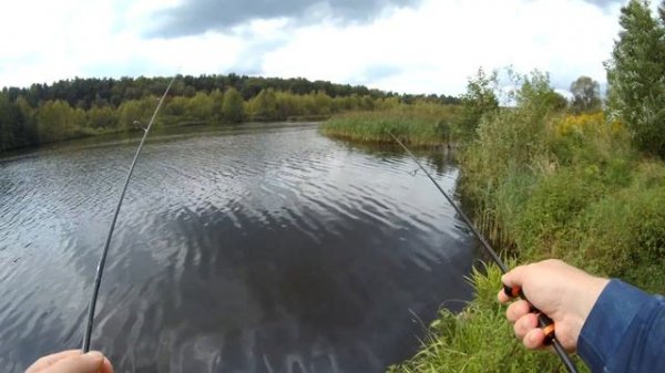 СЕЗОН РЫБАЛКИ vs Fish Season | СКАЛЬПЕЛЬ против оглобли. Сравнение спиннингов FARIO по вашей просьб