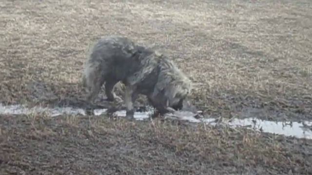 MOV03670Мурка смотреть онлайн