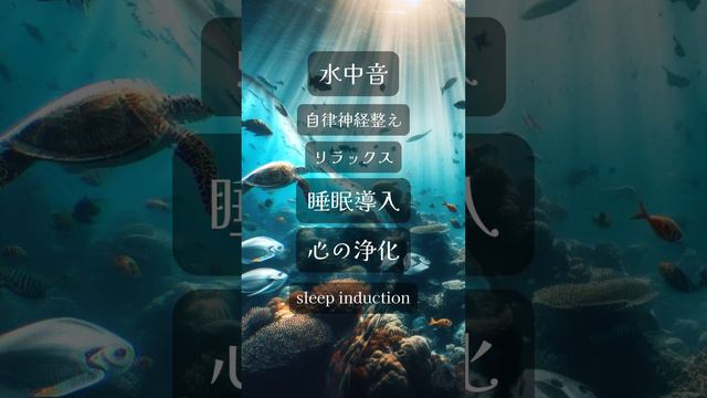 リラックスと睡眠のための水中音 ～自律神経の活性化と安定化～ #睡眠導入 #水中音#ストレス解消 смотреть онлайн